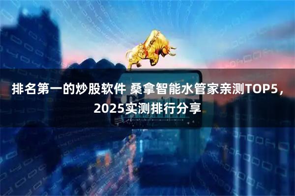 排名第一的炒股软件 桑拿智能水管家亲测TOP5，2025实测排行分享