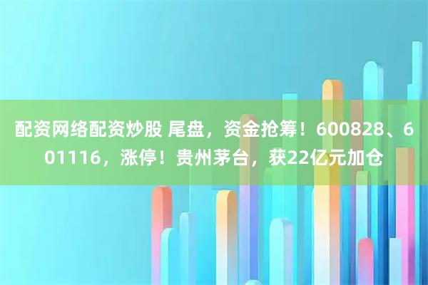 配资网络配资炒股 尾盘，资金抢筹！600828、601116，涨停！贵州茅台，获22亿元加仓